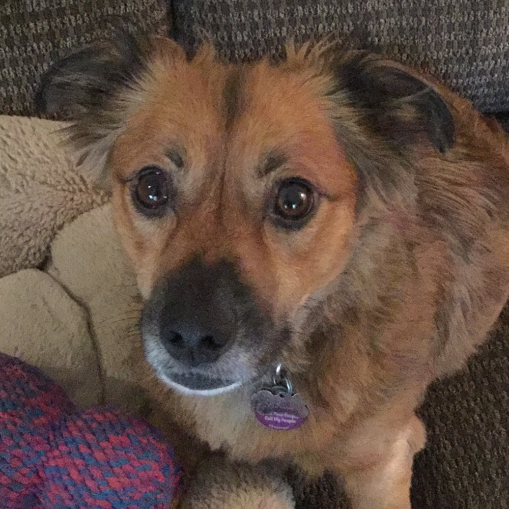 Meet your Posher, Cheryl